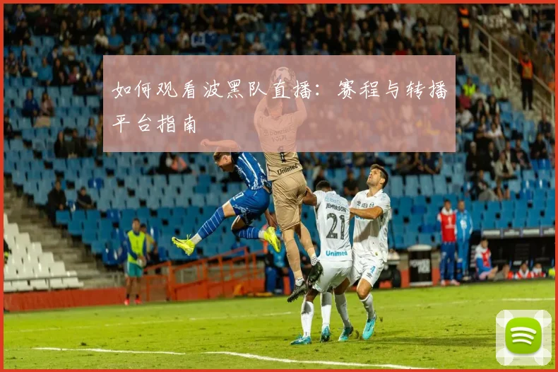 如何观看波黑队直播:赛程与转播平台指南