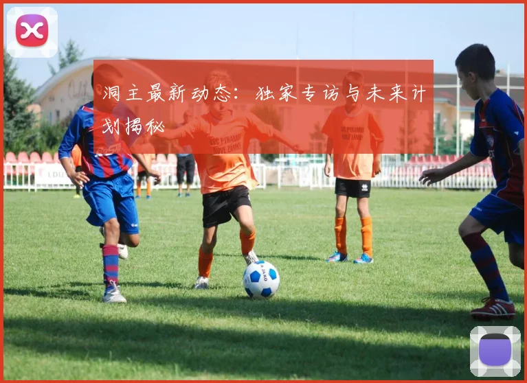 洞主最新动态：独家专访与未来计划揭秘